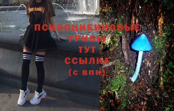 a pvp Бронницы