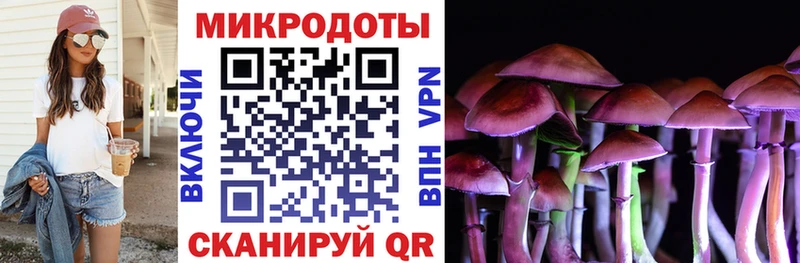 Купить  Карабаш  Галлюциногенные грибы мицелий 